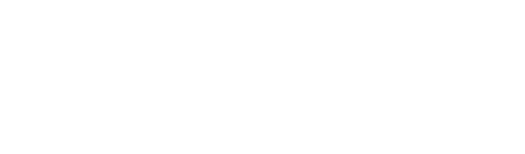 Bajjicam
